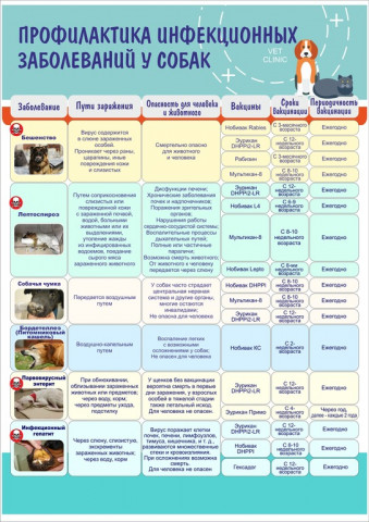 Школьное инициативное бюджетирование - Проекты - Финансовая грамотность населения